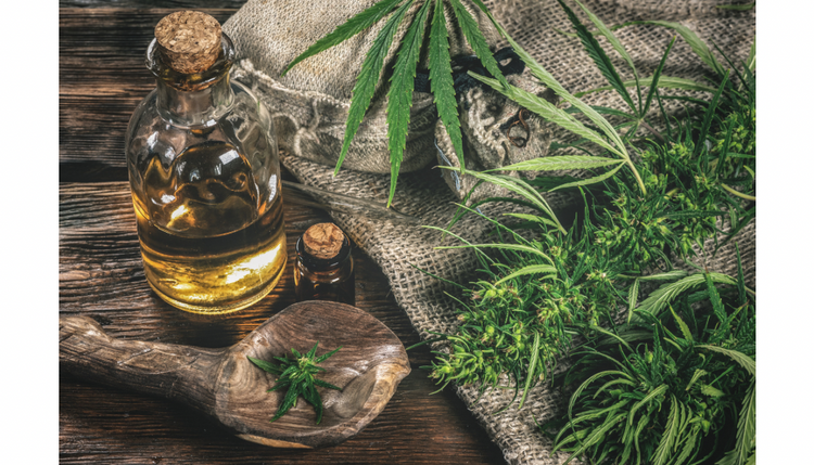 CBD-Öle